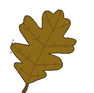 Larisamolinar fall autumn leaf fall leaves Sticker