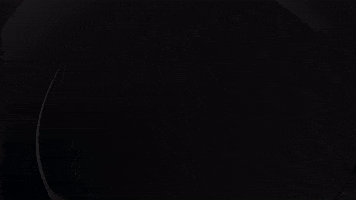 ApolloArtistMgt agency agent isolation apollo GIF