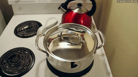cat cooking GIF by Cheezburger