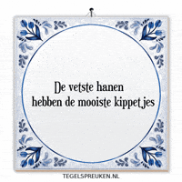 Wijsheid Trots GIF by Tegelspreuken.nl