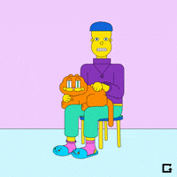 Cats Kitty GIF by gifnews