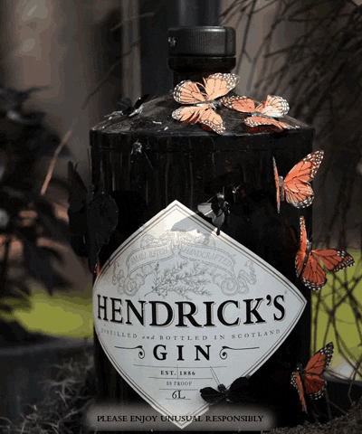 Drinks Ice GIF by HENDRICK'S GIN