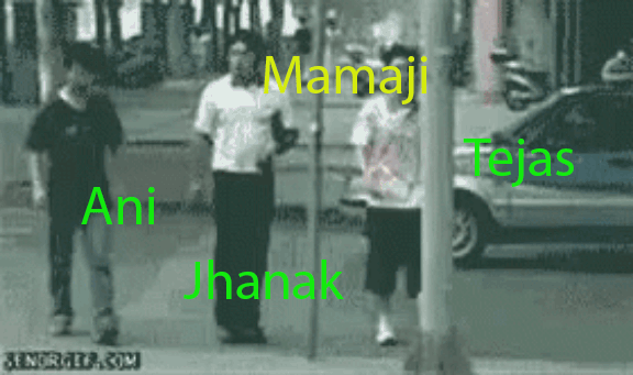 Tejas GIF