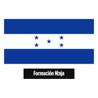 Flag Bandera Sticker by Formación Ninja
