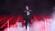 University Of Cincinnati Uc GIF by Cincinnati Bearcats