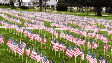American Flag Go Dukes GIF by James Madison University