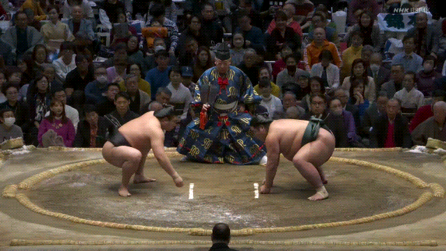 TZ85 giphyupload GIF