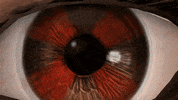 Saturnin91 eye stop motion alice resident evil GIF