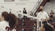 Celebration Volleyball GIF by Colgate Athletics
