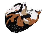 Cat Calico Sticker