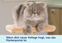 Atruvia_AG atruvia GIF