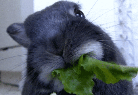 Loop Munching GIF