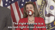 Election 2020 GIF by GIPHY News