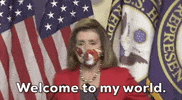 Election 2020 GIF by GIPHY News