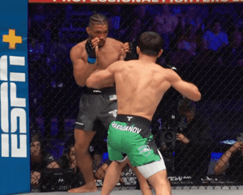 giphy.gif