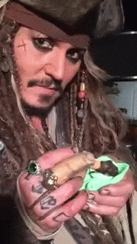 fox baby GIF