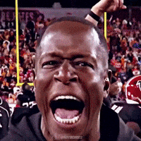 Skuey screaming falcons raheem morris raheem morris falcons GIF