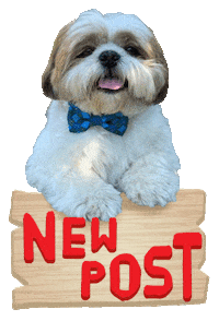Dog Post Sticker