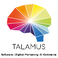 Social Media Software Sticker by Talamus Digital Consultancy