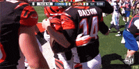 Cincinnati Bengals GIF by NFL