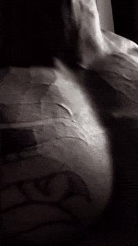 Chest Bodybuilder GIF