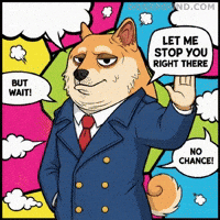 Shiba Inu No GIF by Doge Pound