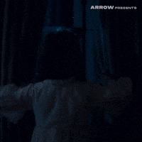 Film Horror GIF by Arrow Video