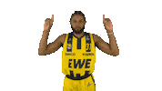 Ewe Baskets Basketball Sticker by EWE Baskets Oldenburg