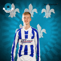 Voetbalvereniging_Scherpenzeel goal win score voetbal GIF