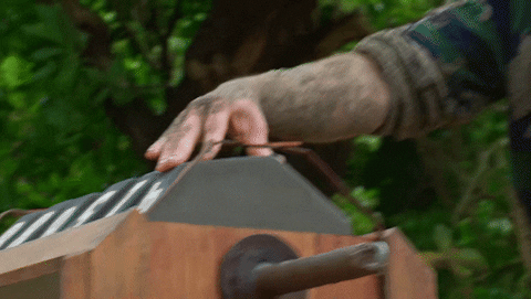 Challenge Premiere GIF by Survivor CBS