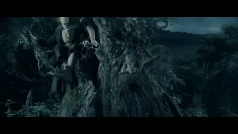 kittypurry giphygifmaker lotr lord of the rings treebeard GIF