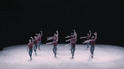 Playlist GIF by English National Ballet