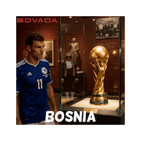World Cup 2026 Bosnia Sticker by Bovada