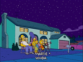 homer simpson GIF