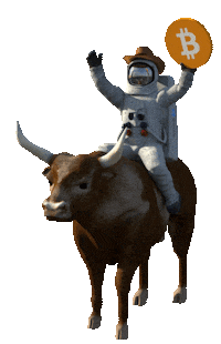 Bitcoin Bullrun Sticker by Bitrefill