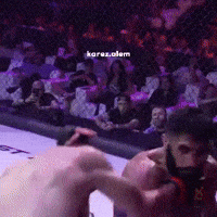 Mma GIF