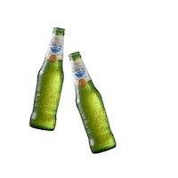 Lo Mejor Salud Sticker by Cerveza Santa Cruz 1906