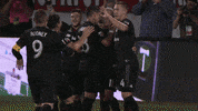 Mls GIF by D.C. United