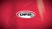 national team logo GIF