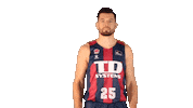Liga Endesa Basketball Sticker by ACB