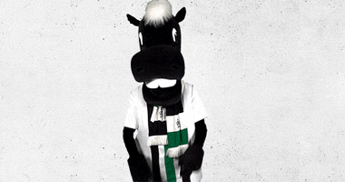Mascot Bmg GIF by Borussia Mönchengladbach