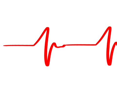 Heartbeat Erste Hilfe Sticker by Tami