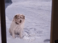 season 5 netflix GIF by Gilmore Girls 