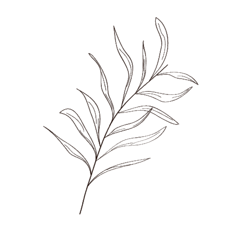 muylula giphyupload natural leaf boho Sticker
