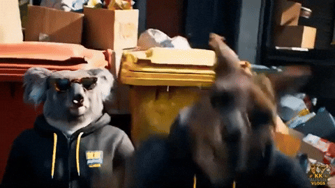 Crime Koala GIF