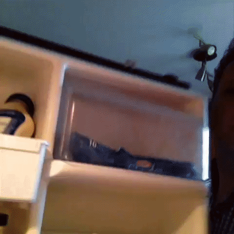 redbull GIF by Brittlestar