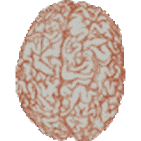shrooms experience Sticker