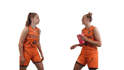 NLbasketball orangelions Sticker