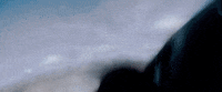 vin diesel GIF by Furious 7