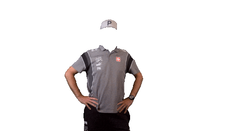 Switzerland Suisse Sticker by Swiss Football Association